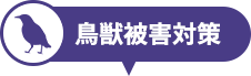 鳥獣被害対策